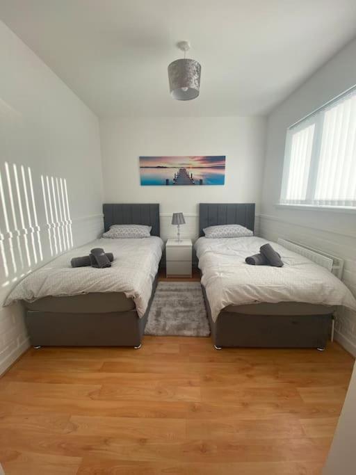 Modern Two Bed House Close To City Centre Белфаст Екстериор снимка